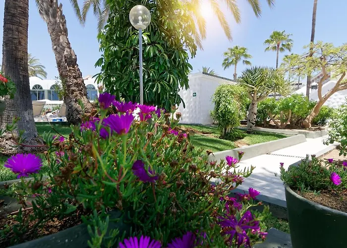Bungalow Hotel Parque Del Paraiso II